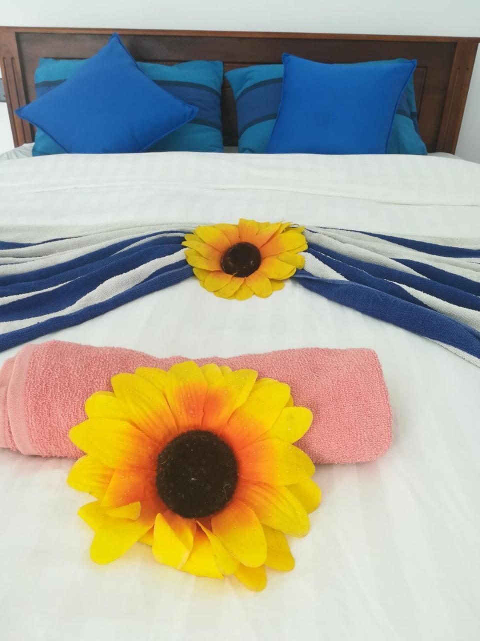 ミリッサ Moon Light Guest Bed & Breakfast エクステリア 写真