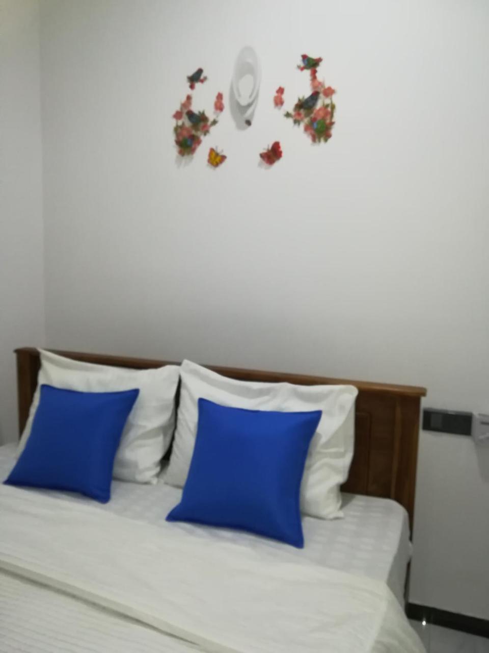ミリッサ Moon Light Guest Bed & Breakfast エクステリア 写真